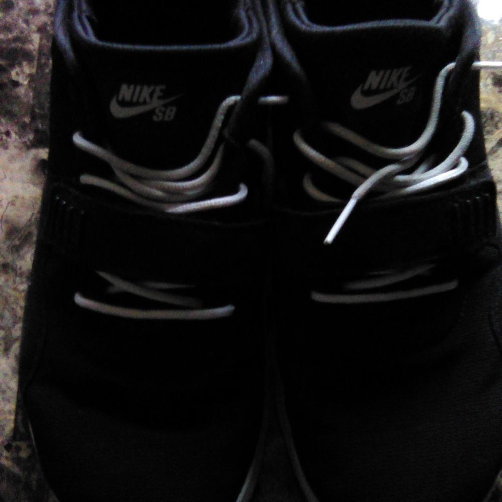 Nike SB Trainerendor Se